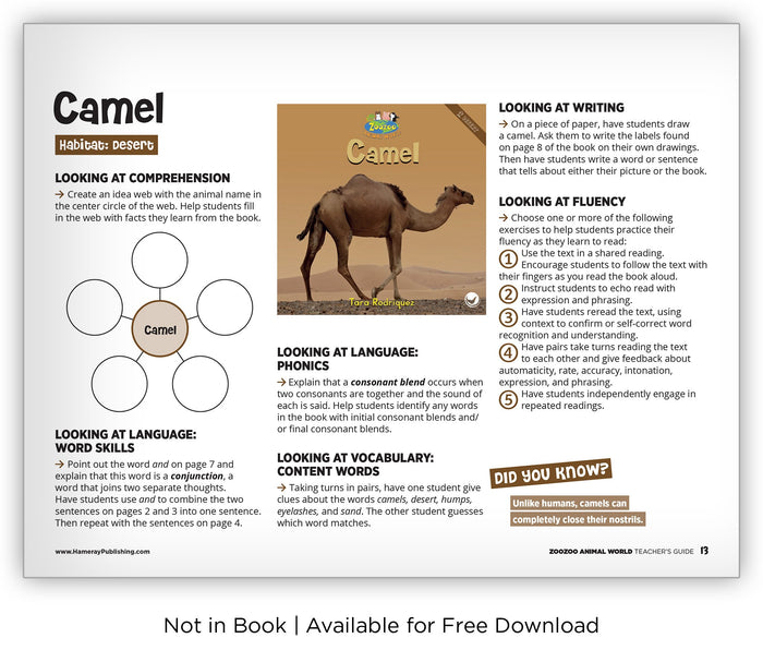 Camel from Zoozoo Animal World