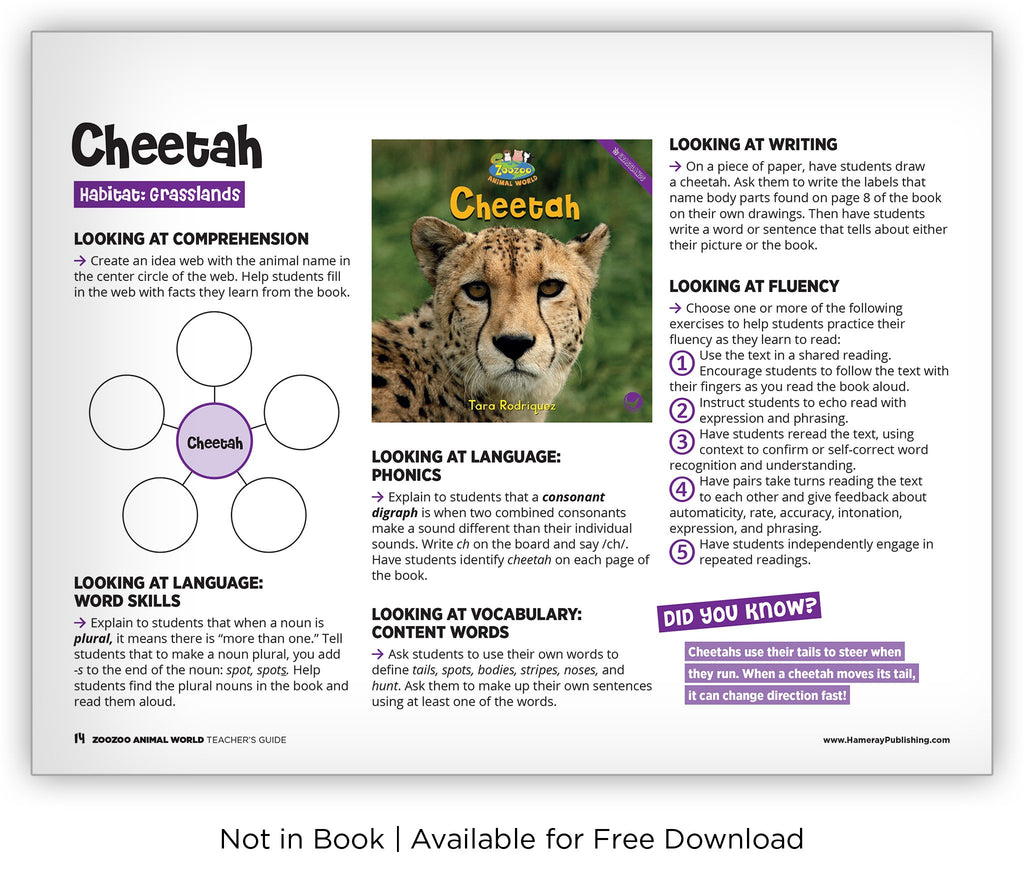Cheetah - Zoozoo Animal World - Hameray Publishing