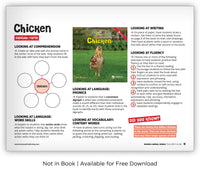 Chicken from Zoozoo Animal World