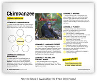 Chimpanzee from Zoozoo Animal World