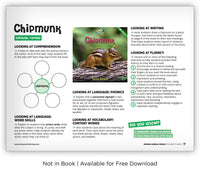 Chipmunk from Zoozoo Animal World