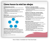 Cómo hacen la miel las abejas from Fábulas y el Mundo Real