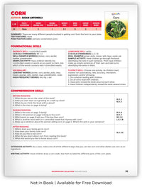 Corn from Kaleidoscope Collection