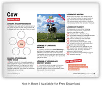 Cow from Zoozoo Animal World