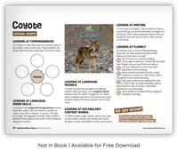 Coyote from Zoozoo Animal World