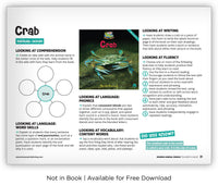 Crab from Zoozoo Animal World