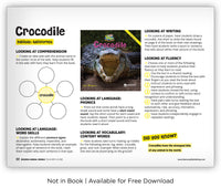 Crocodile from Zoozoo Animal World