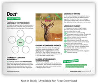 Deer from Zoozoo Animal World