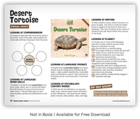 Desert Tortoise from Zoozoo Animal World