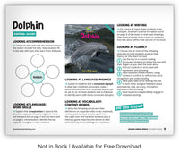 Dolphin from Zoozoo Animal World