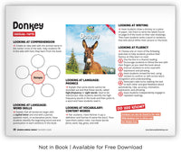 Donkey from Zoozoo Animal World