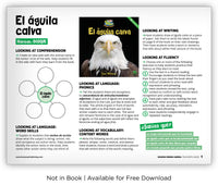 El águila calva from Zoozoo Mundo Animal