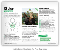 El alce from Zoozoo Mundo Animal