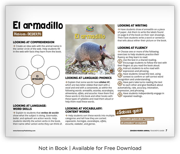 El armadillo from Zoozoo Mundo Animal