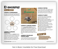 El avestruz from Zoozoo Mundo Animal