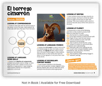 El borrego cimarrón from Zoozoo Mundo Animal