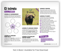 El búfalo from Zoozoo Mundo Animal