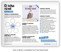 El búho nival from Zoozoo Mundo Animal