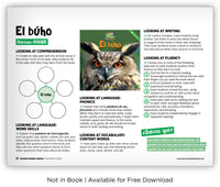 El búho from Zoozoo Mundo Animal