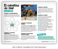 El caballito de mar from Zoozoo Mundo Animal