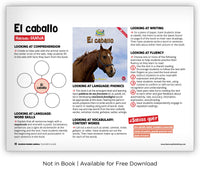 El caballo from Zoozoo Mundo Animal