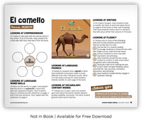 El camello from Zoozoo Mundo Animal