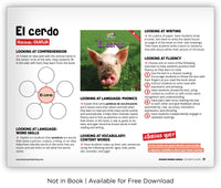 El cerdo from Zoozoo Mundo Animal