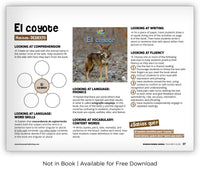 El coyote from Zoozoo Mundo Animal