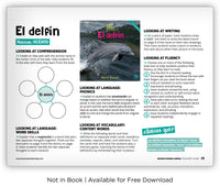 El delfín from Zoozoo Mundo Animal