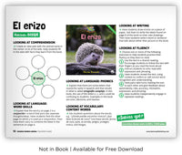 El erizo from Zoozoo Mundo Animal