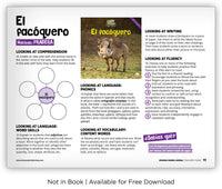 El facóquero from Zoozoo Mundo Animal