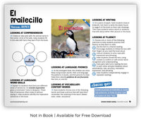 El frailecillo from Zoozoo Mundo Animal