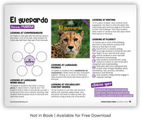 El guepardo from Zoozoo Mundo Animal