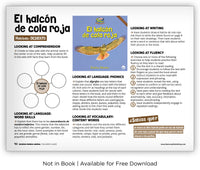 El halcón de cola roja from Zoozoo Mundo Animal