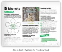 El lobo gris from Zoozoo Mundo Animal