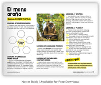 El mono araña from Zoozoo Mundo Animal