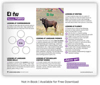 El ñu from Zoozoo Mundo Animal