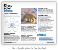 El oso polar from Zoozoo Mundo Animal