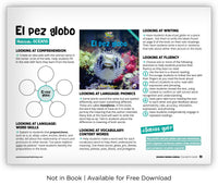 El pez globo from Zoozoo Mundo Animal