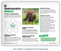 El puercoespín from Zoozoo Mundo Animal