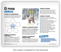 El reno from Zoozoo Mundo Animal