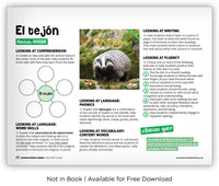 El tejón from Zoozoo Mundo Animal