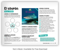 El tiburón from Zoozoo Mundo Animal