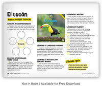 El tucán from Zoozoo Mundo Animal