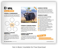 El yak from Zoozoo Mundo Animal