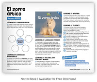 El zorro ártico from Zoozoo Mundo Animal