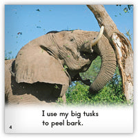 Elephant from Zoozoo Into the Wild