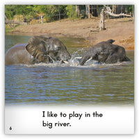 Elephant from Zoozoo Into the Wild