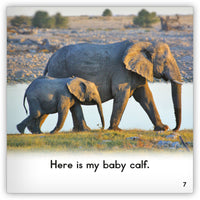 Elephant from Zoozoo Into the Wild