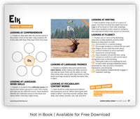 Elk from Zoozoo Animal World